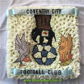 fwthumbCoventry City Logo - IMG_6086.jpg